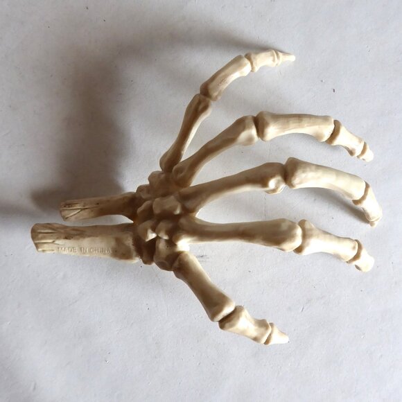 NEW HALLOWEEN GOTHIC HORROR TABLE CENTERPIECE APOTHECARY PROP ODDITY SKULL TRAY - Picture 12 of 15